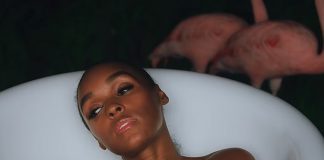 Janelle Monáe volta ao mundo da música e anuncia o álbum ‘Dirty Computer’