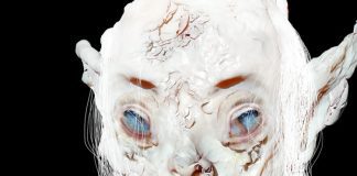 Jesse Kanda, colaborador de Björk e Arca, lança o EP ‘Luna’ como Doon Kanda