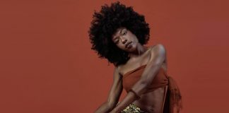 Sudan Archives revela um retrato de suas origens no clipe de “Nont for Sale”
