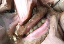 Aphex Twin anuncia o EP ‘Collapse’ com o single e videoclipe de “T69 Collapse”