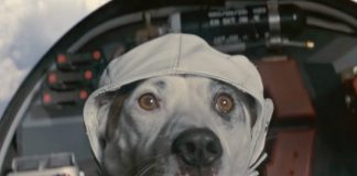 The Chemical Brothers e seu super cachorro “We’ve Got To Try”