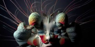 Björk lança videoclipe com conceito utópico para “Tabula Rasa”