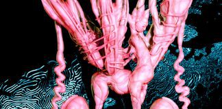Doon Kanda, colaborador de Björk e Arca, mostra a faixa “Nastasya”