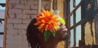 Black Pumas, duo indicado ao Grammy, celebra a vida no Bronx no videoclipe de “Colors”
