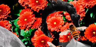 Elza Soares lança videoclipe de “Lírio Rosa”
