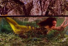 6 discos para ouvir hoje: Tei Shi, DJ Shadow, Pumarosa e mais