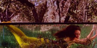 6 discos para ouvir hoje: Tei Shi, DJ Shadow, Pumarosa e mais