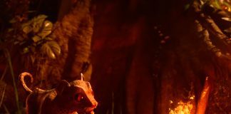 Moby lança videoclipe de “My Only Love” e chama atenção para o desmatamento na Amazônia