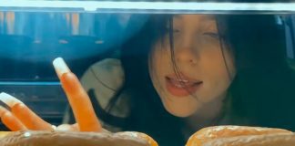 Billie Eilish lança o single e videoclipe de “Therefore I Am”