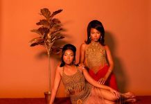 7 discos para ouvir hoje: VanJess, Foo Fighters, The Weather Station, Puma Blue e mais