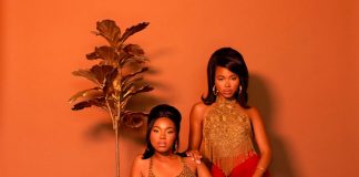 7 discos para ouvir hoje: VanJess, Foo Fighters, The Weather Station, Puma Blue e mais