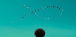 José González lança videoclipe inspirador e positivo de “Swing”