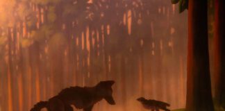 Fleet Foxes lança videoclipe em stop-motion de “Featherweight”