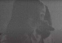 HEALTH e Poppy encontram-se na bela e sombria “DEAD FLOWERS”