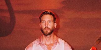 Calvin Harris traz Tinashe, Normani e Offset no single “New To You”