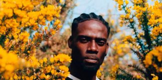 8 discos para ouvir hoje: Lil Silva, Lizzo, Steve Lacy, beabadoobee, Interpol e mais