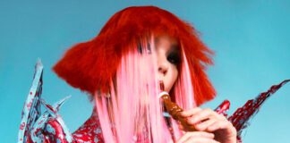 9 discos para ouvir hoje: Björk, Yeah Yeah Yeahs, Shygirl, Lovi Did This e mais