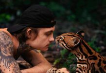 Fleet Foxes e Tim Bernardes lançam a faixa “A Sky Like I’ve Never Seen”