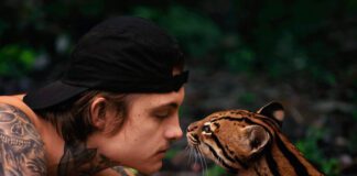 Fleet Foxes e Tim Bernardes lançam a faixa “A Sky Like I’ve Never Seen”