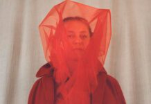 8 discos para ouvir hoje: Anna B Savage, Skrillex, Anna Wise, Indy, Avey Tare e mais