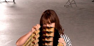 9 discos para ouvir hoje: Feist, Patrick Wolf, Shygirl, Pearly Drops, Fenne Lily e mais