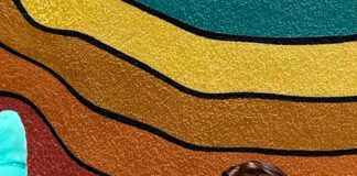 Blake Mills anuncia o álbum ‘Jelly Road’ e lança o single “Skeleton Is Walking”