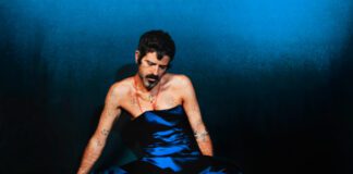 Devendra Banhart anuncia o álbum ‘Flying Wig’, produzido por Cate Le Bon, e lança o single ‘Twin’