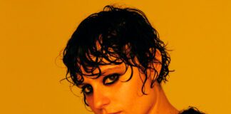 Ana Frango Elétrico lança o single “Electric Fish” do álbum ‘Me Chama de Gato Que Eu Sou Sua’