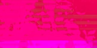 DSCVR ON: Girl As Wave, Elle Gee & Vin, Sarpa Salpa, Glowfish, Cortright e mais