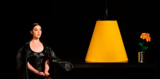 St. Vincent canta um relacionamento obsessivo e possessivo no single “Flea”