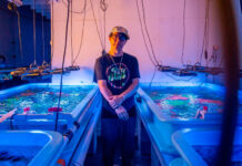 Avey Tare e Panda Bear, integrantes do Animal Collective, encontram-se no single “Vampire Tongues”