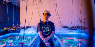 Avey Tare e Panda Bear, integrantes do Animal Collective, encontram-se no single “Vampire Tongues”