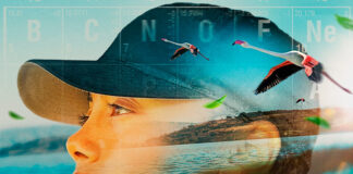 Jayda G lança “If We Only Knew”, faixa da trilha de ‘Blue Carbon: Nature’s Hidden Power’