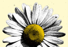 Fiona Apple, Sharon Van Etten, Courtney Barnett e mais artistas regravam Neil Young para coletânea