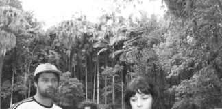 8 discos para ouvir hoje: terraplana, St. Lucia, Circuit des Yeux, Neal Francis e mais