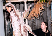 Disiniblud, projeto de Rachika Nayar e Nina Keith, anuncia álbum de estreia homônimo