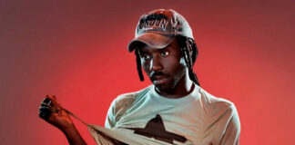 8 discos para ouvir hoje: Blood Orange, Tei Shi, Jehnny Beth, Nova Twins e mais