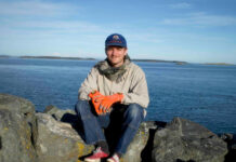 Mac DeMarco canta a dor de um amor perdido no single “Phantom”