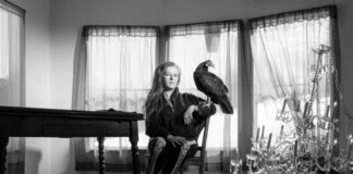 Neko Case presta tributo a amigo e parceiro musical em “Winchester Mansion of Sound”