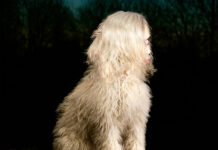 Juana Molina retorna com o single “siesta ahí” e anuncia o álbum ‘DOGA’