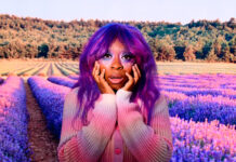 7 discos para ouvir hoje: hemlocke springs, Charli XCX, Cardinals, PONY e mais