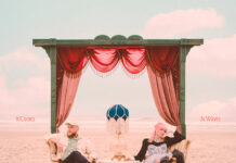 New Constellations prepara álbum de estreia e lança o single “Dandelion”