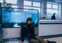 beabadoobee lança o single “All I Did Was Dream of You” com a banda The Marías