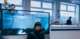 beabadoobee lança o single “All I Did Was Dream of You” com a banda The Marías