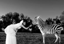 Magdalene critica Hollywood e o apetite insaciável do público no single “P*rn in the USA”