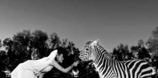 Magdalene critica Hollywood e o apetite insaciável do público no single “P*rn in the USA”