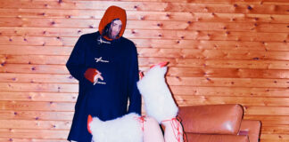 Silver Gore encontra beleza no ato de desapego no single “Black Cherry Liqueur”