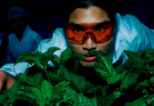 Chad Hugo inicia nova era com “Jumpupw!nya”, single em parceria com Tierra Whack e Leikeli47