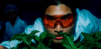 Chad Hugo inicia nova era com “Jumpupw!nya”, single em parceria com Tierra Whack e Leikeli47