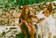 TSHA retorna com o single “All Night Long”